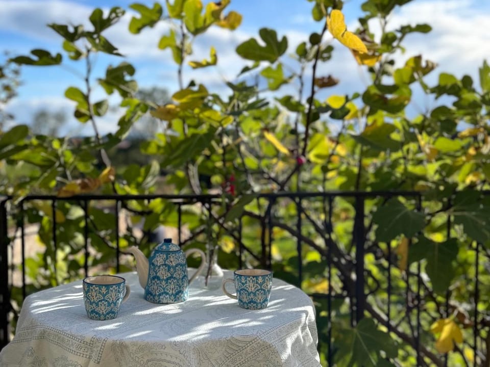 Patio, Garden, Balcony/Terrace, Dining area