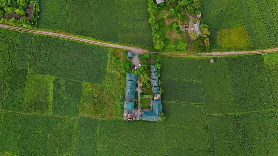 Property building, Natural landscape, Garden view