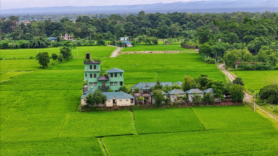 Property building, Natural landscape, Garden view