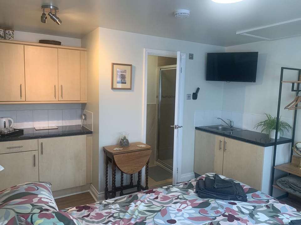 Shower, Toilet, Bed, TV and multimedia, Bedroom, Area and facilities