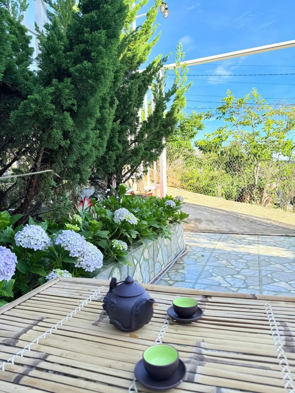 Day, Garden view
