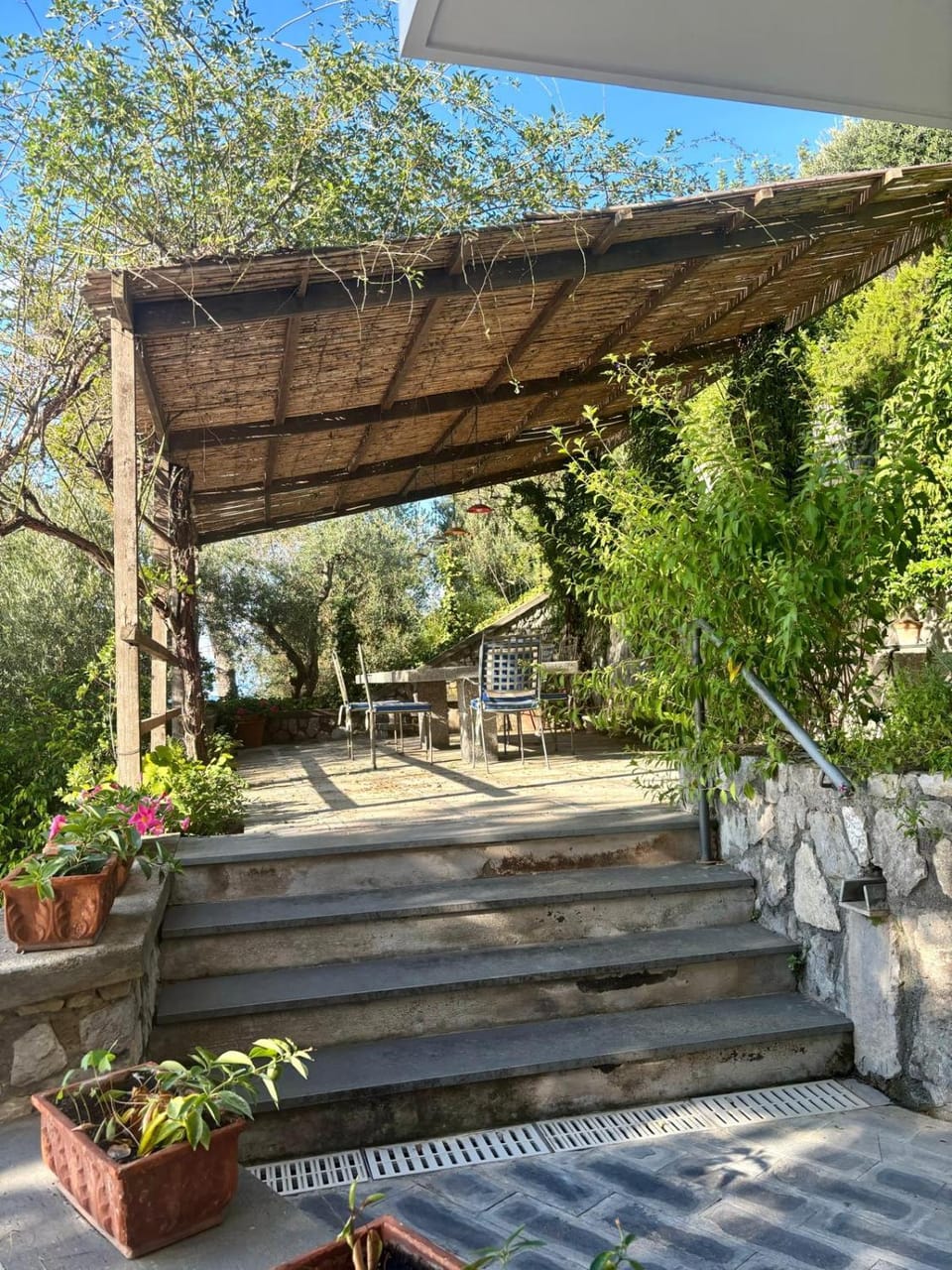 Il carrubo sul mare Villa in Massa Lubrense