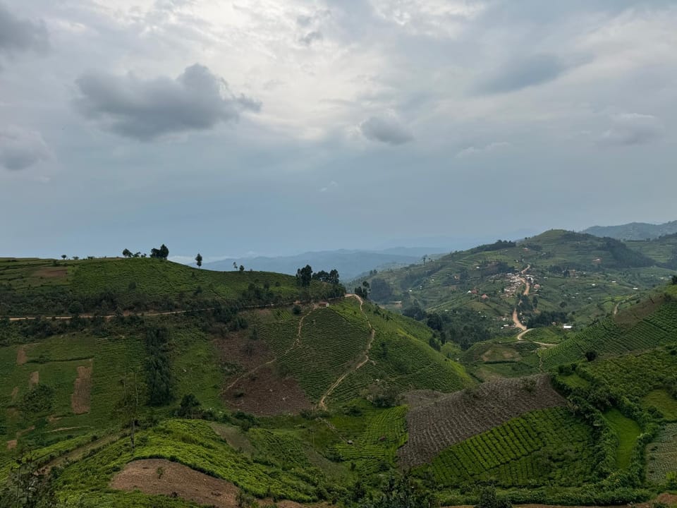 Natural landscape
