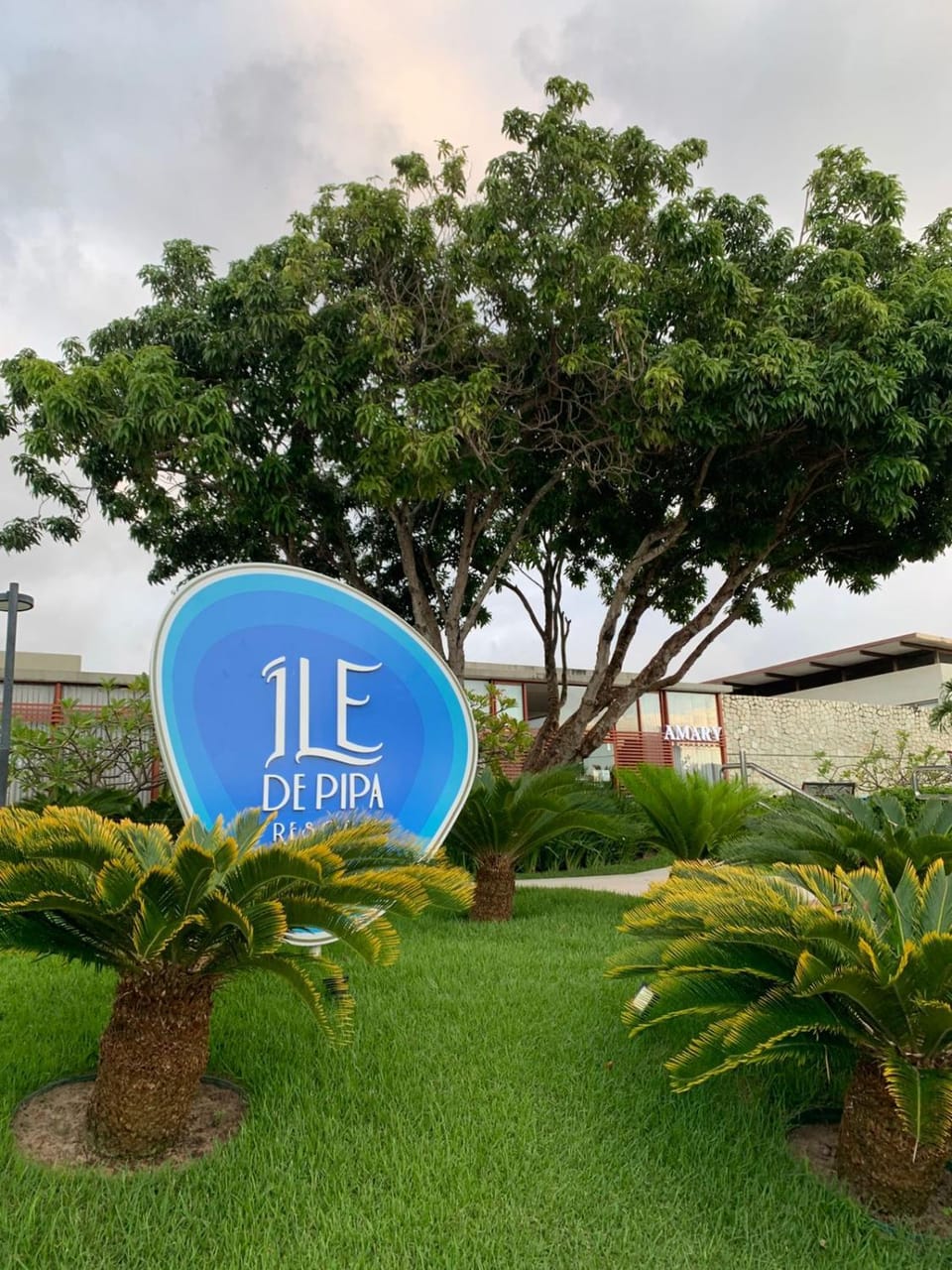 Property logo or sign, Natural landscape, Street view