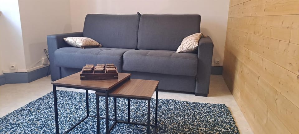 Appartement calme, lumineux, 4 personnes, parking Apartment in Occitanie