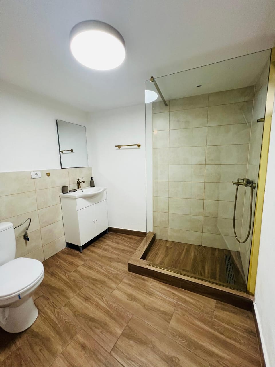 Casa Andra Apartment in Serbia