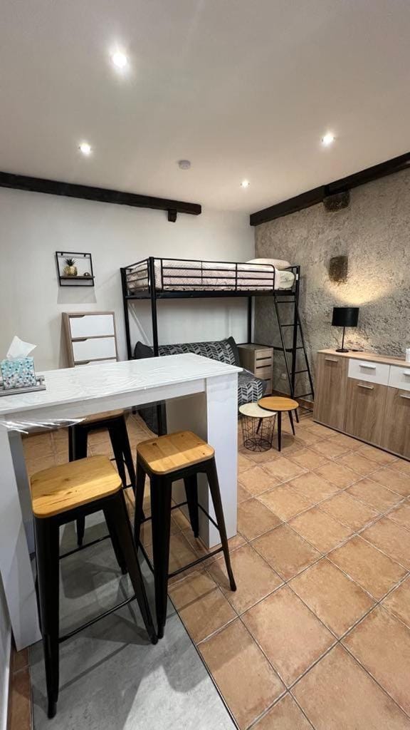Studio Montferrand Apartment in Clermont-Ferrand