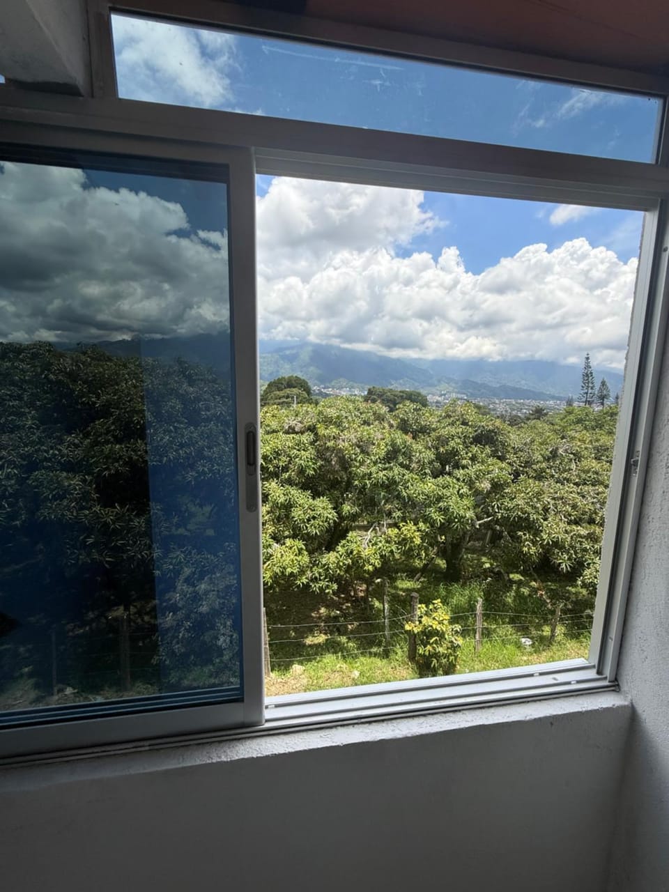 View (from property/room)