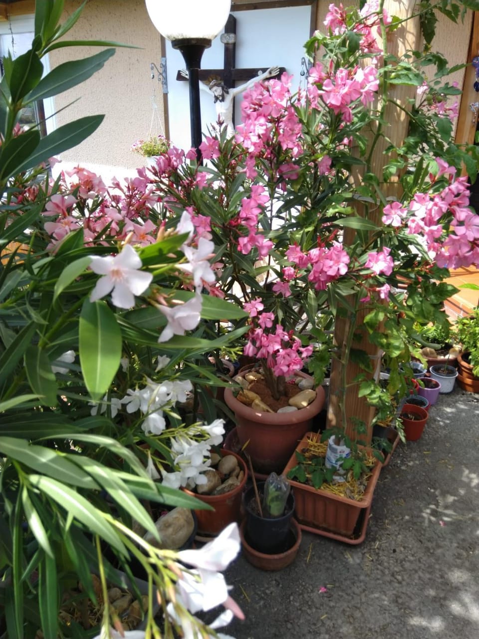 Spring, Garden, Garden view