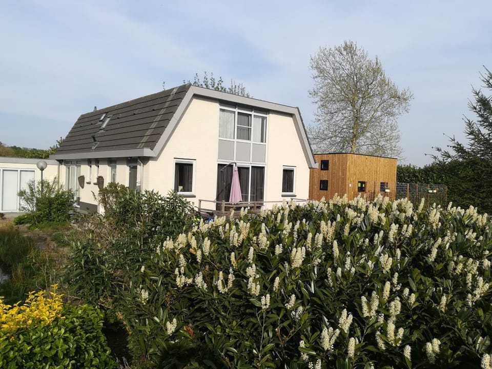 Property building, Garden