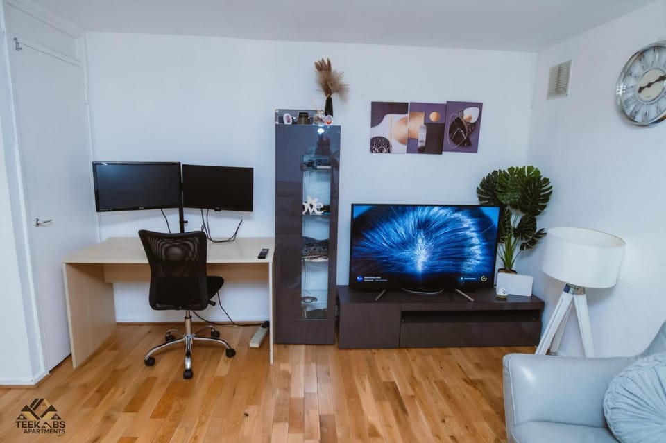 TV and multimedia