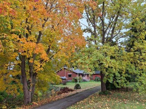 Garden, Garden view