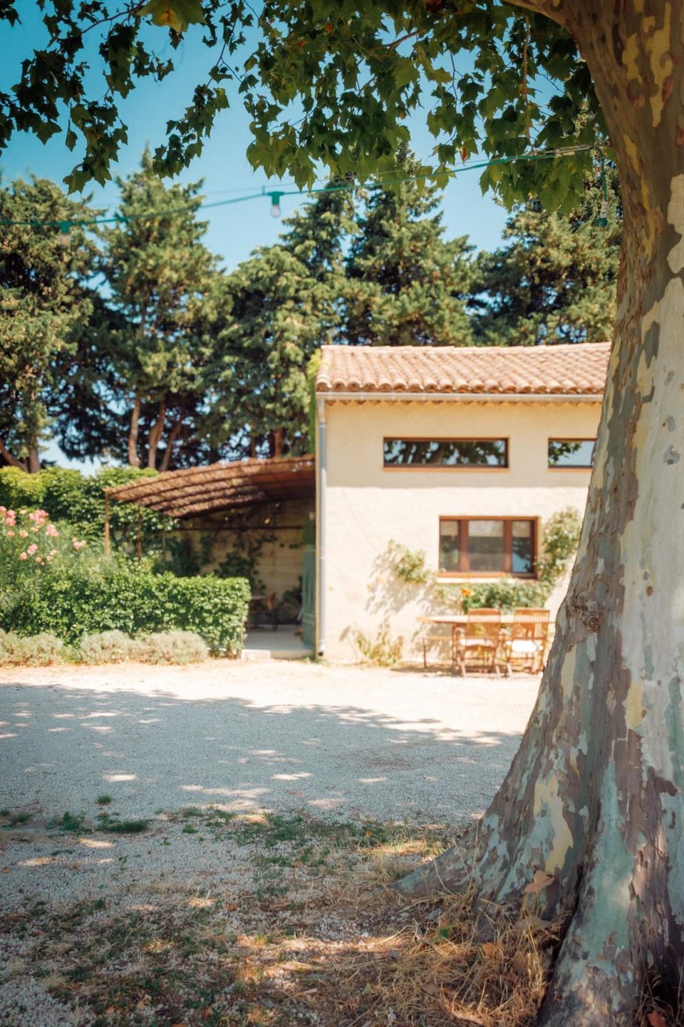 Maison dans propriété au milieu des vignes en Drôme provençale House in Provence
