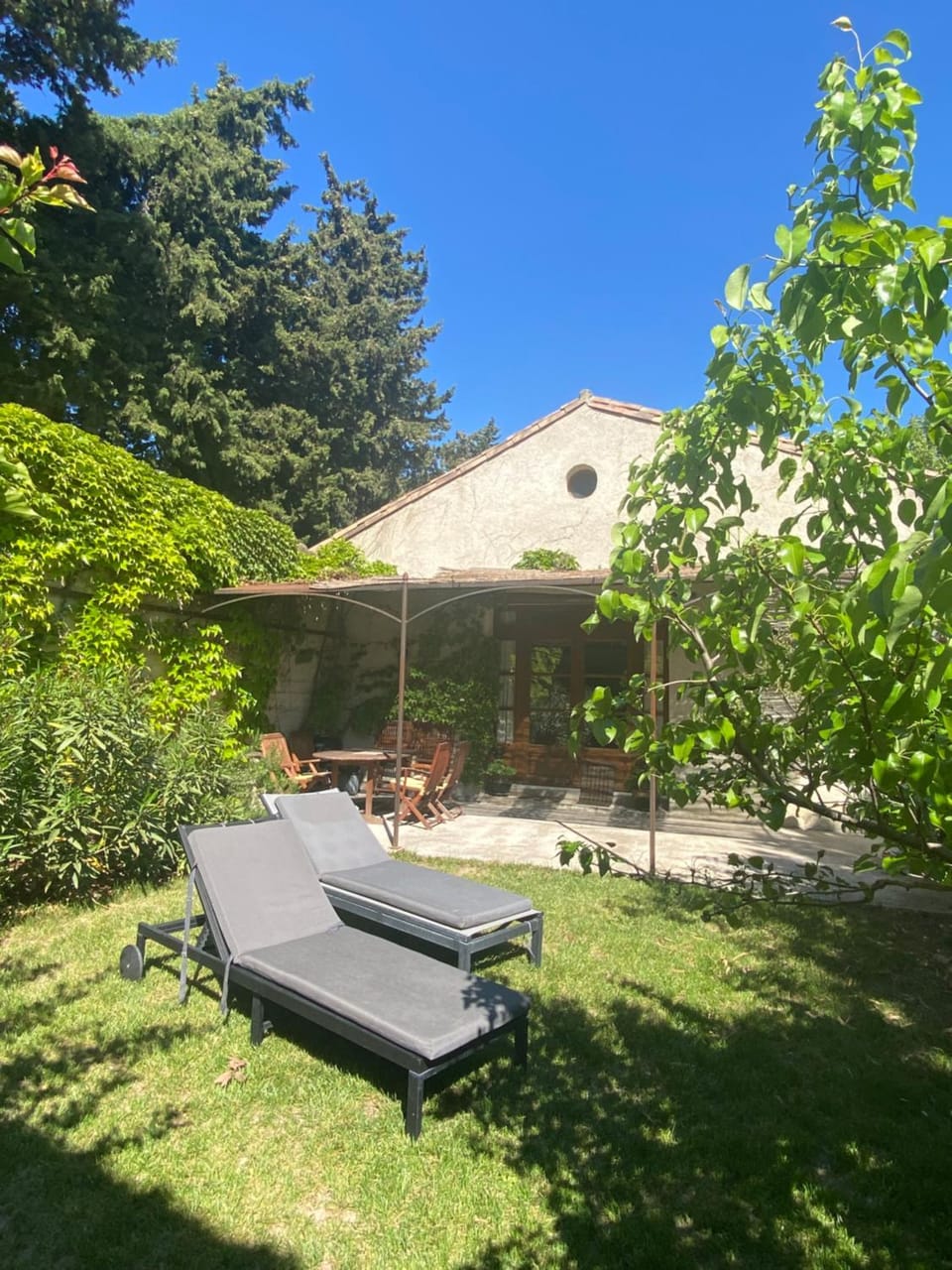 Garden, sunbed