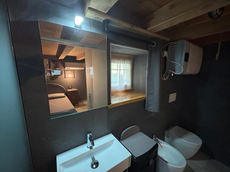 Toilet, Bathroom, bidet