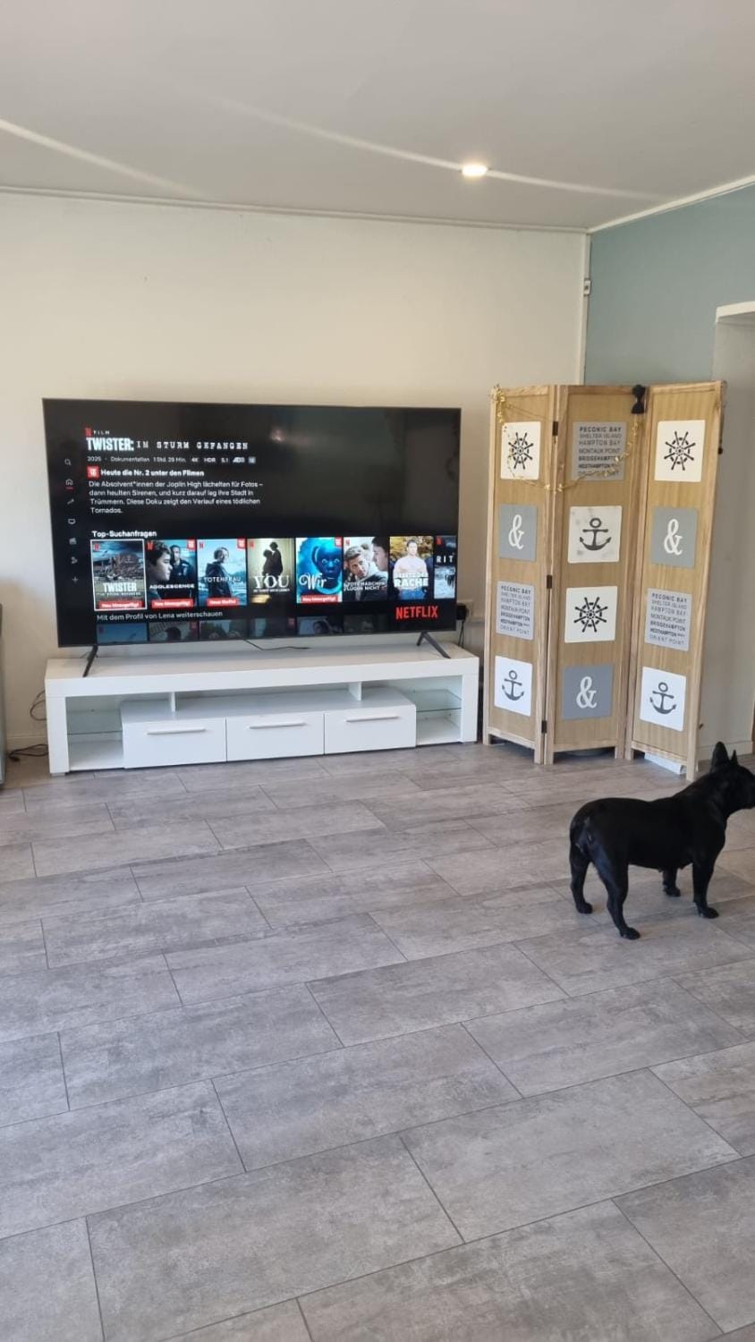 TV and multimedia