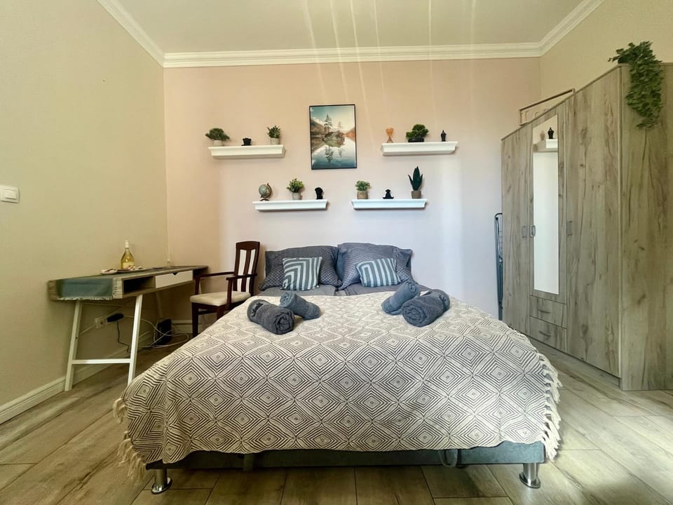 City Centre Piac Flat Apartment in Hungary