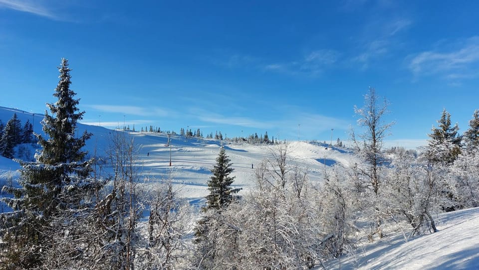 Winter, Skiing