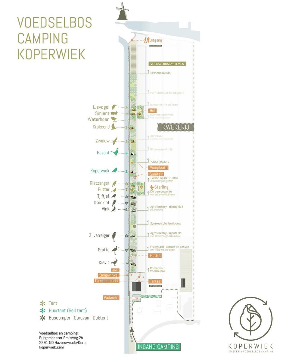 Voedselbos Camping Koperwiek Luxury tent in South Holland (province)