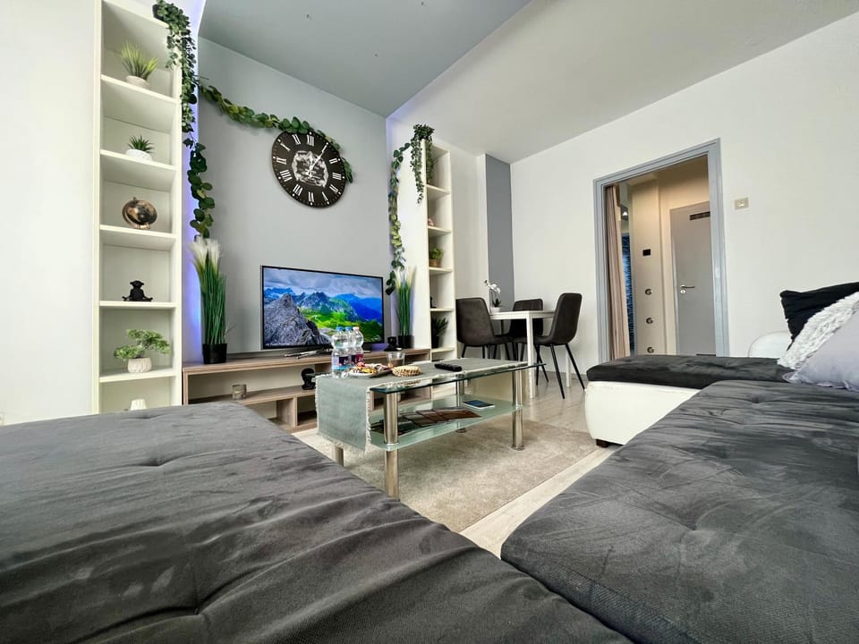 GreatForestSportAndSpaUniversityFlat Apartment in Hungary