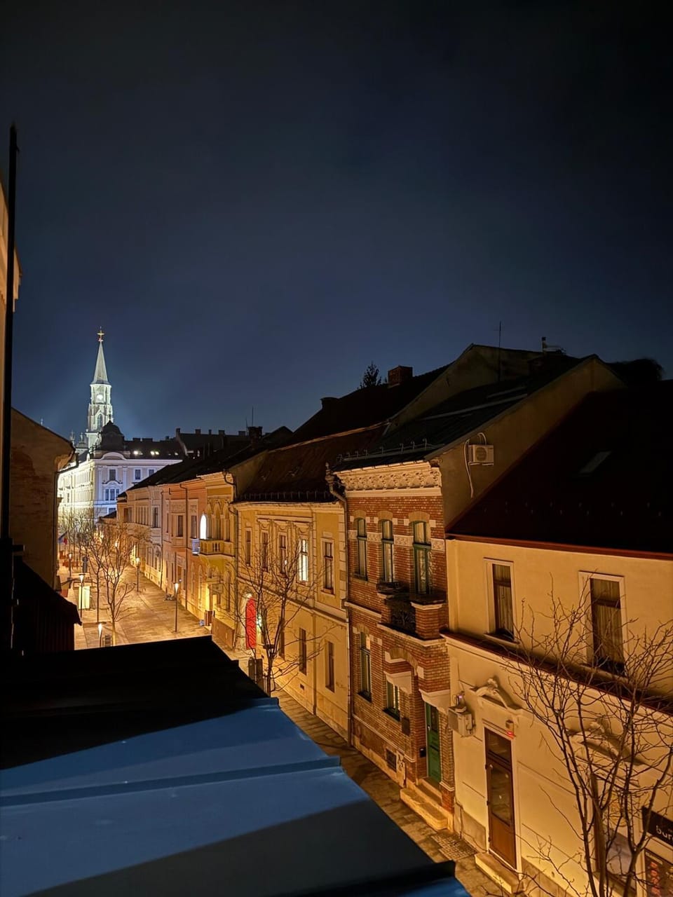 Large studio in city center with nice wooden floor Apartment in Cluj-Napoca