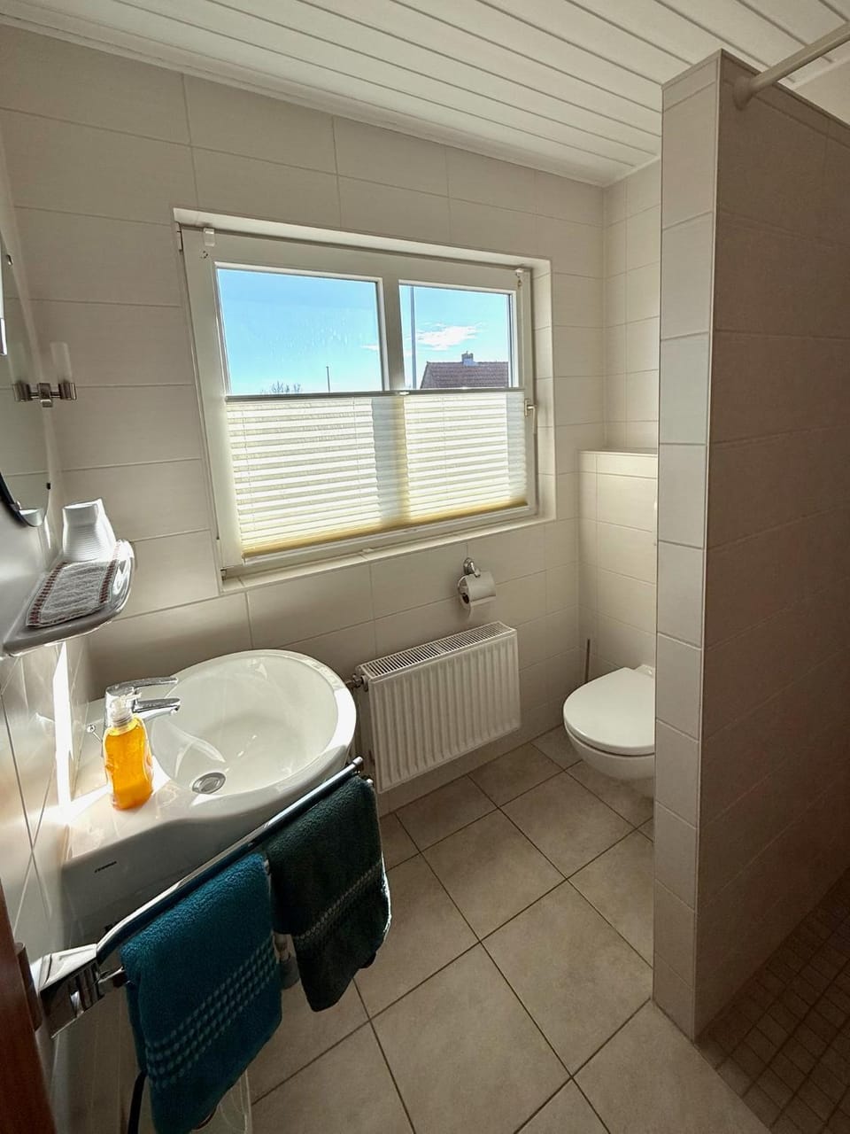 Shower, Toilet, Bathroom, towels