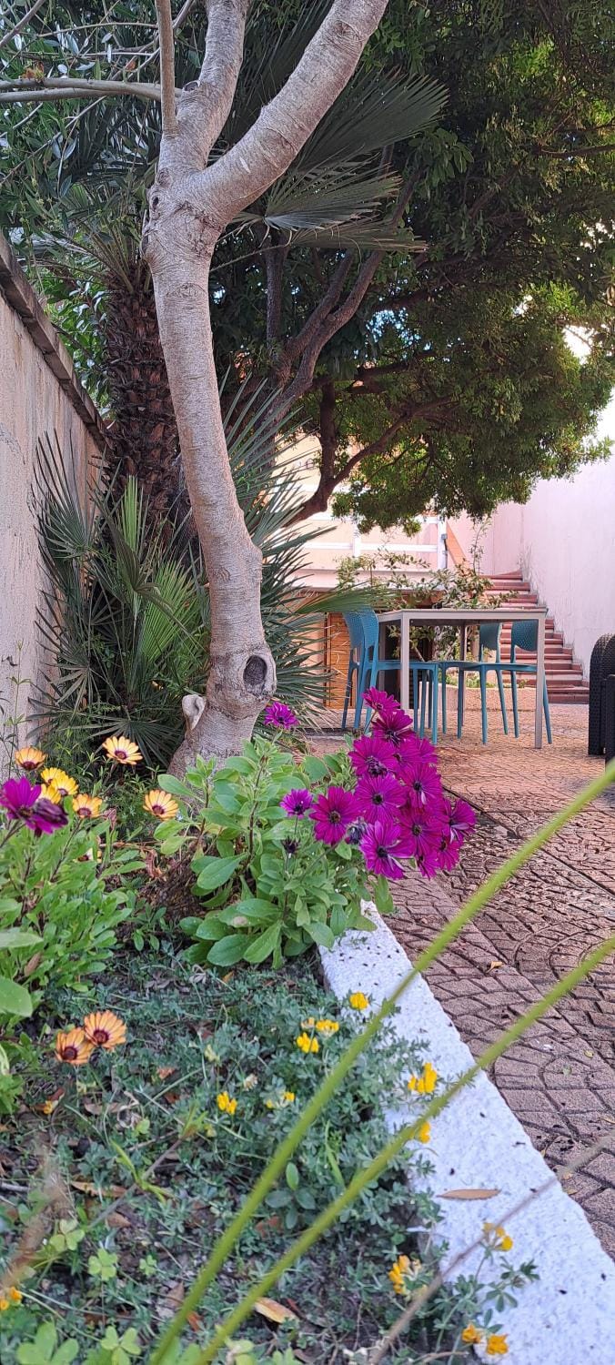 La perla del Mare Vacation rental in Sardinia