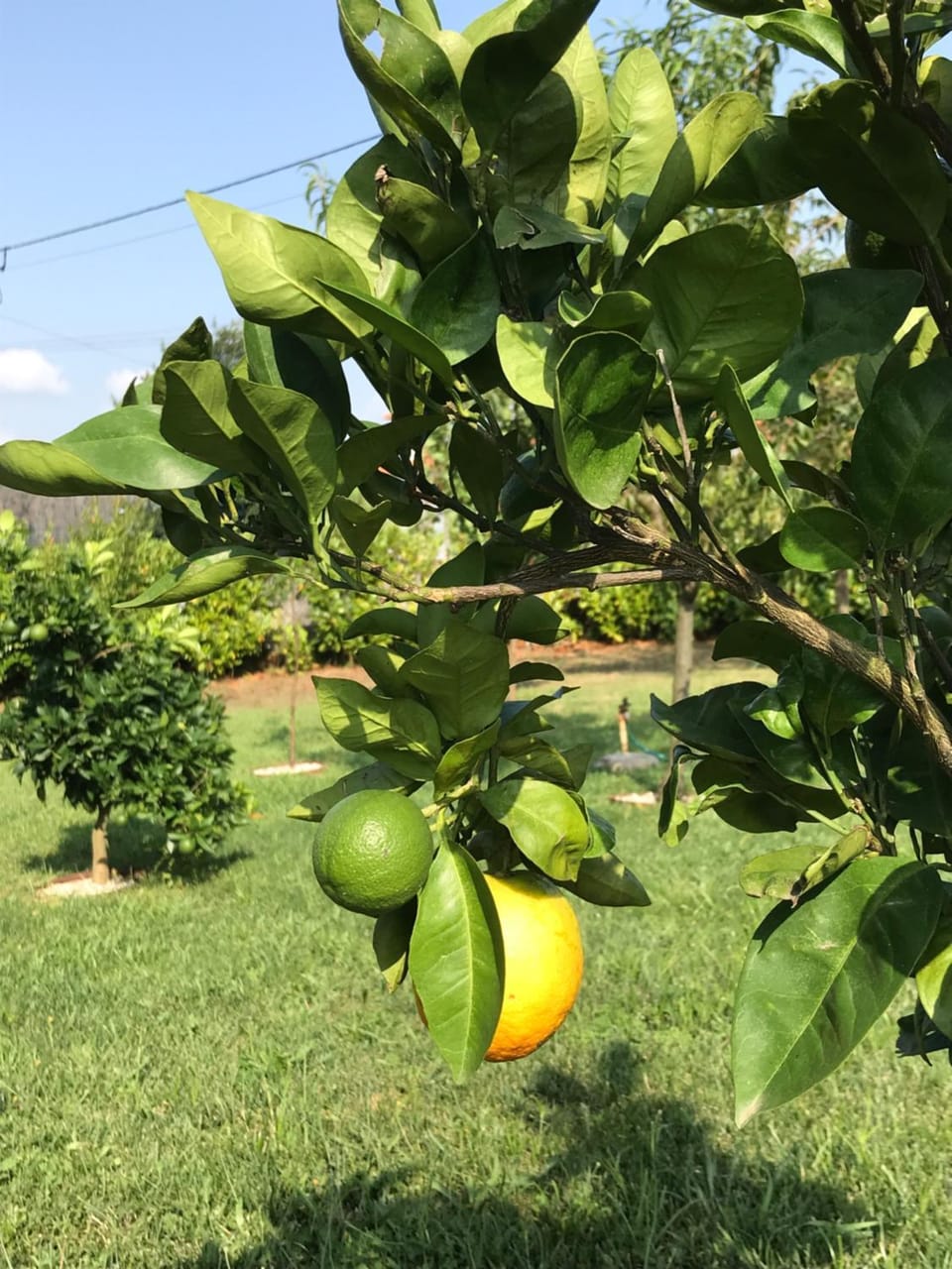 Casa do Villas Farm Stay in Porto District