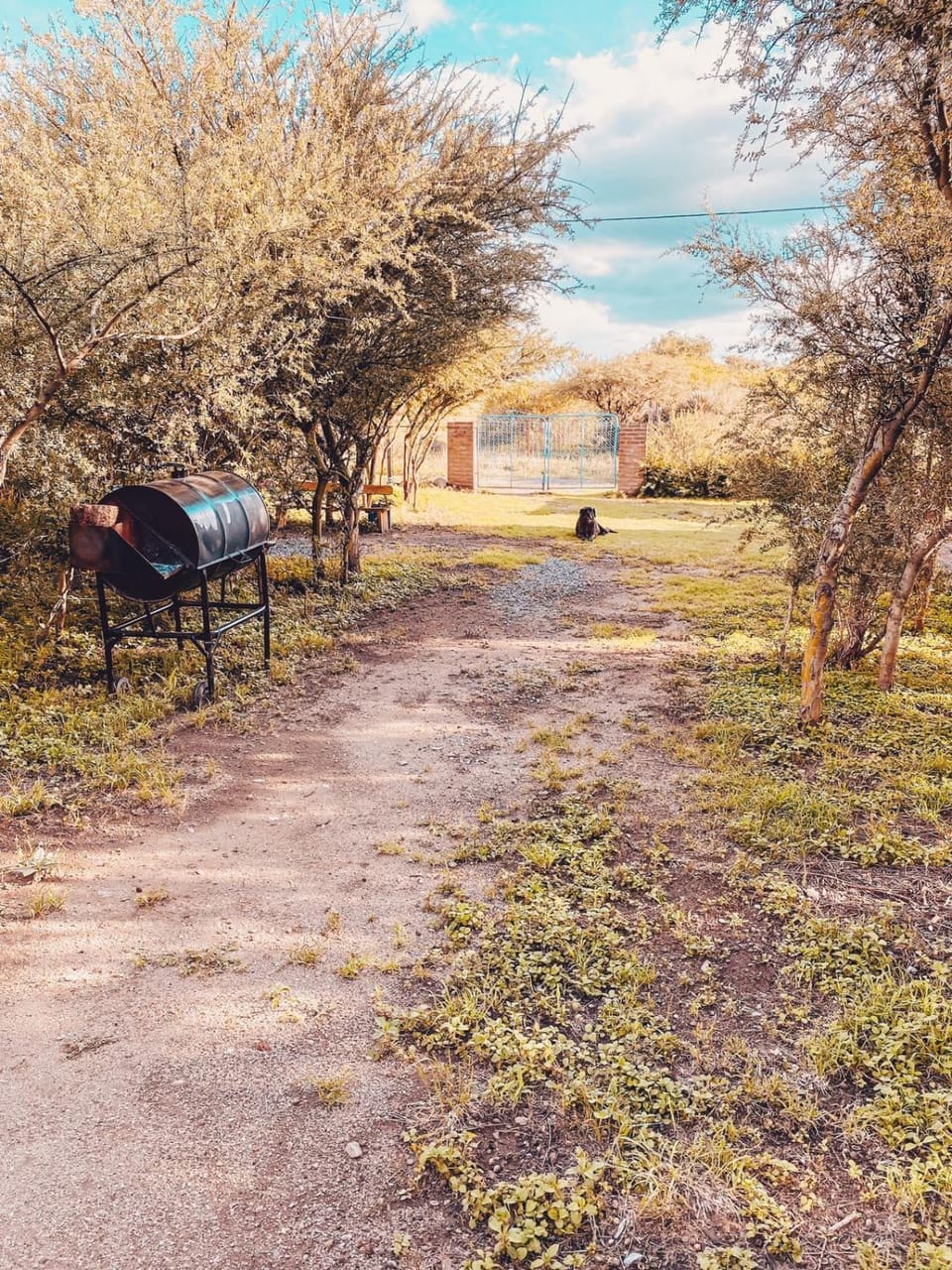 Natural landscape, Garden view