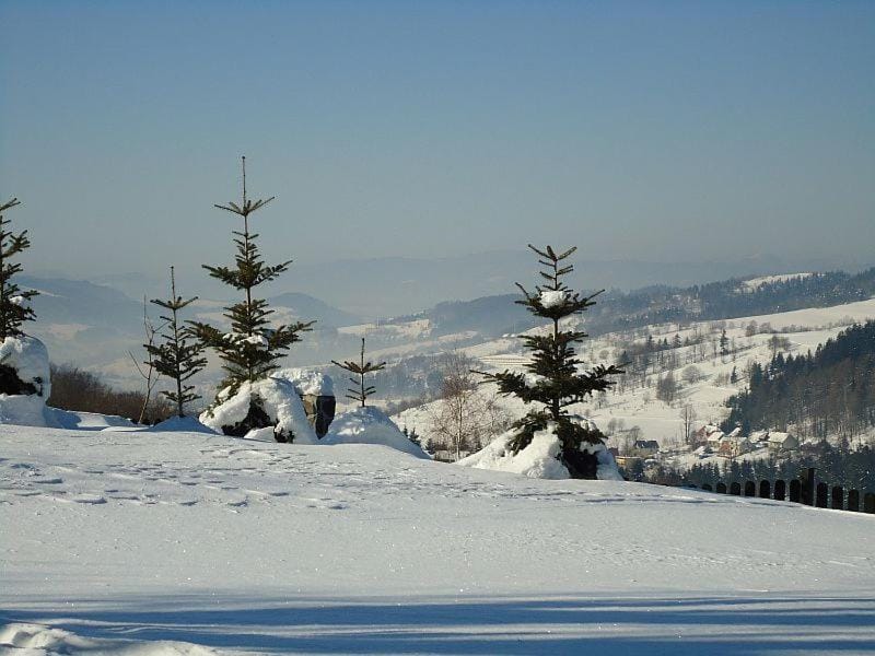 Noconiówka Chalet in Poland