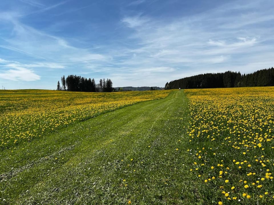 Spring, Natural landscape