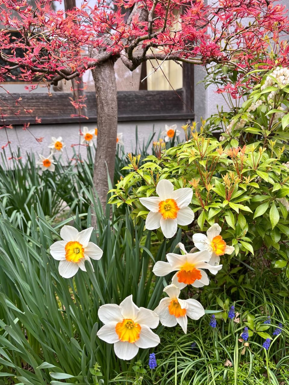 Garden view