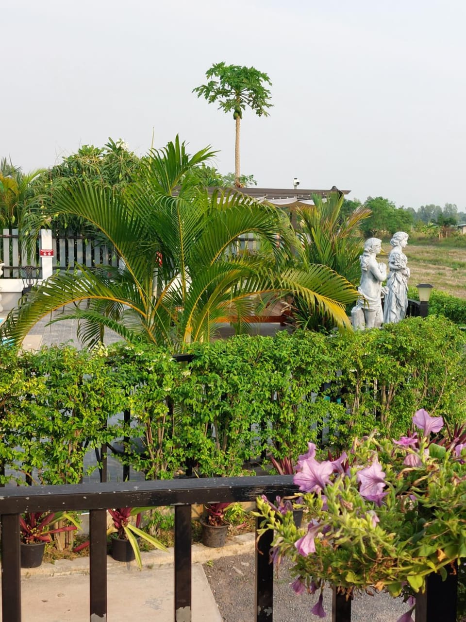 Patio, Natural landscape, Balcony/Terrace, Garden view