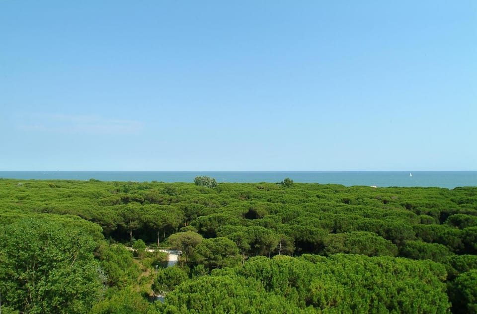Day, Natural landscape, Bird's eye view, Sea view