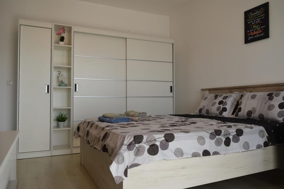 Studio C&L Apartment in Brasov