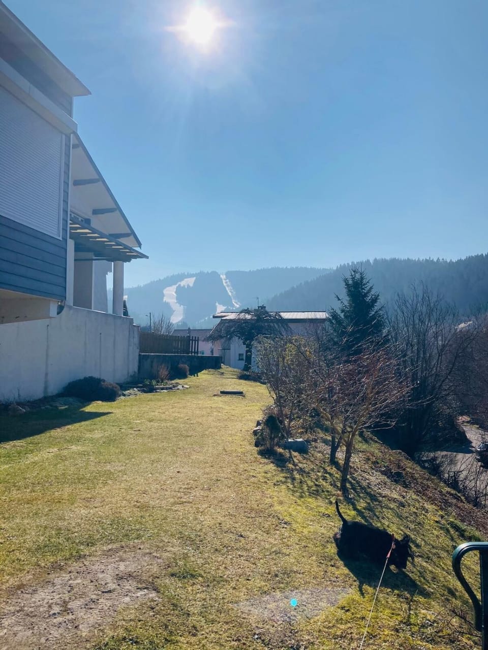 Day, Natural landscape, Garden, Ski School, Skiing, Mountain view