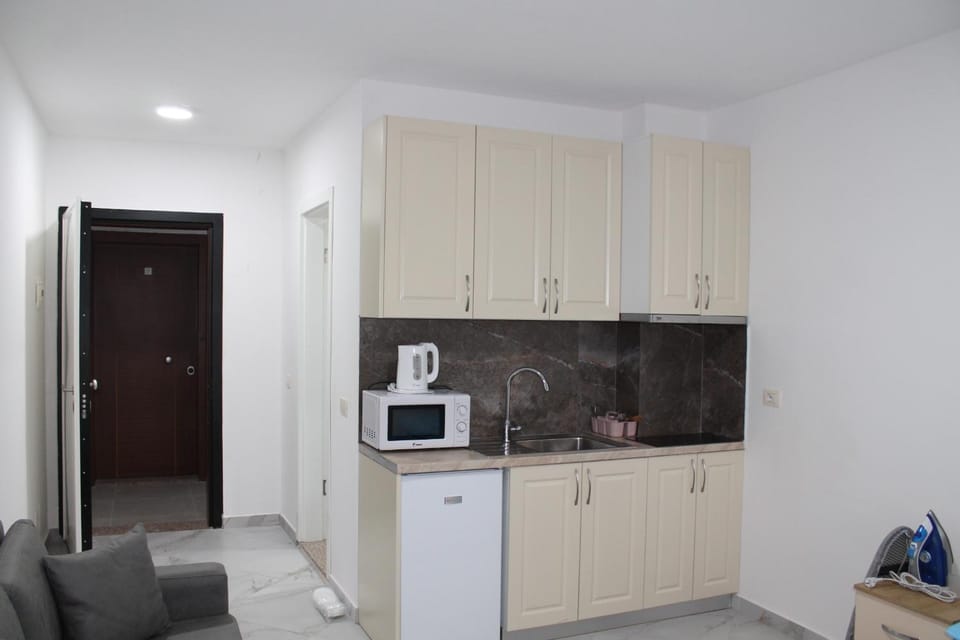 Kitchen or kitchenette, microwave, stove