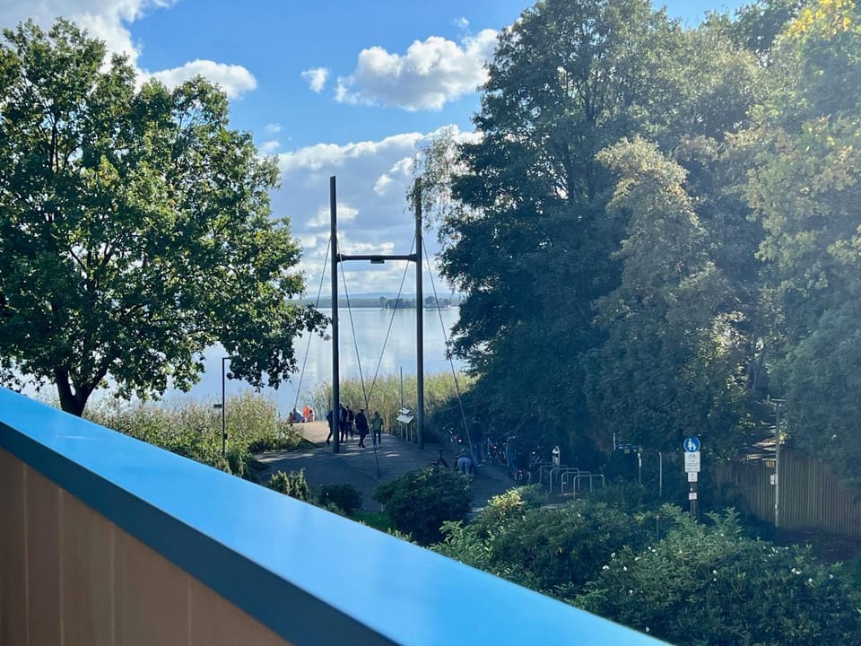 Lake view