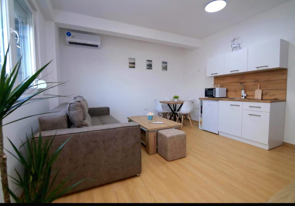 Living room, Seating area, Dining area, air conditioner