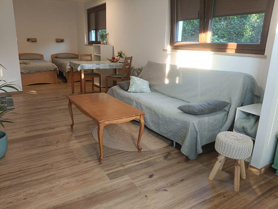 Gravitacija East Apartment in 5220 Tolmin, Slovenia