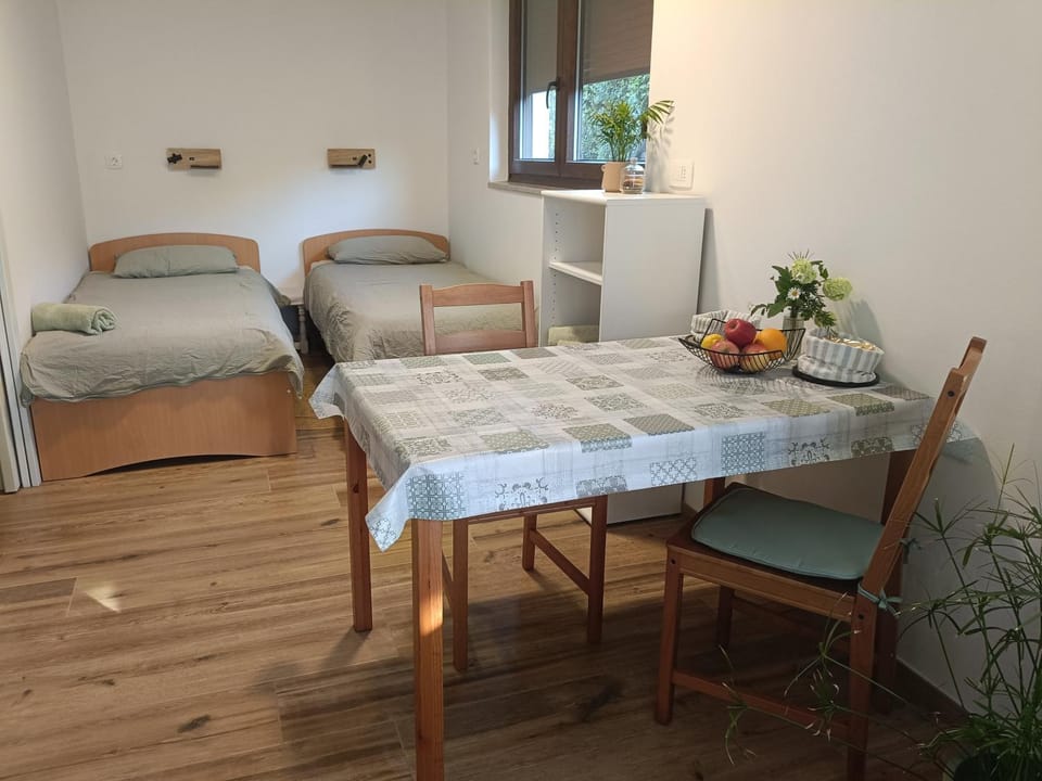 Gravitacija East Apartment in 5220 Tolmin, Slovenia