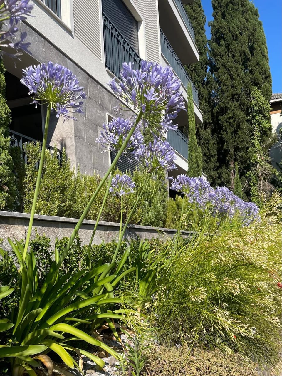 Next door One & Only Portonovi Apartment in Kotor Municipality