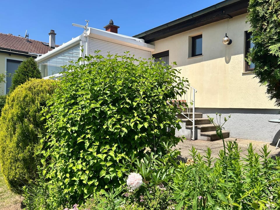 Property building, Spring, Garden, Garden view