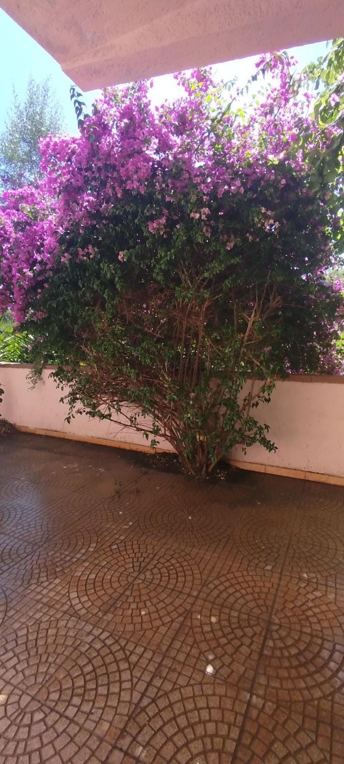 La casa nel borgo, in a cozy charming village, 15 min to Beach, Small pets welcome Apartment in Sardinia
