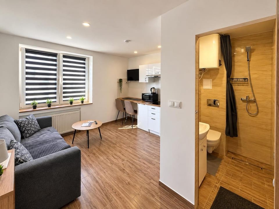 ApartamentsByMatyrafa-XI Apartment in Poland