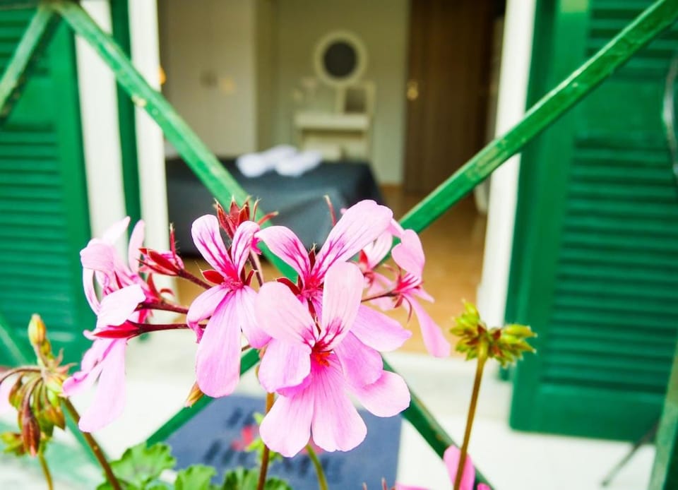Swanky apartment in Corfu Apartment in Corfu