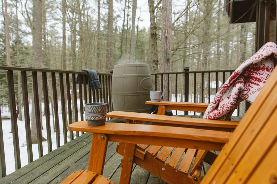 ADK Forest Cabin near Lake Placid with Hot Tub and Ice Bath Cabin in Adirondack Mountains