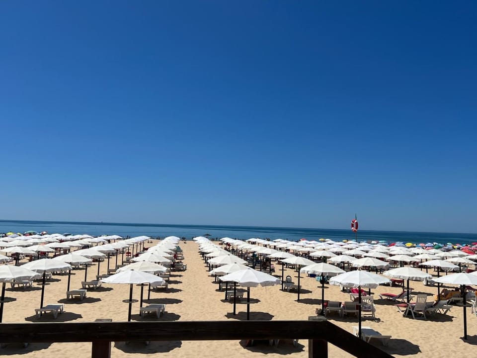 Day, Beach, Sea view, sunbed
