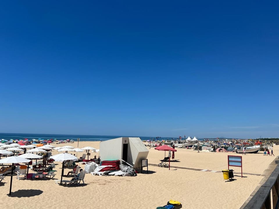 Day, Natural landscape, Beach, Sea view, sunbed