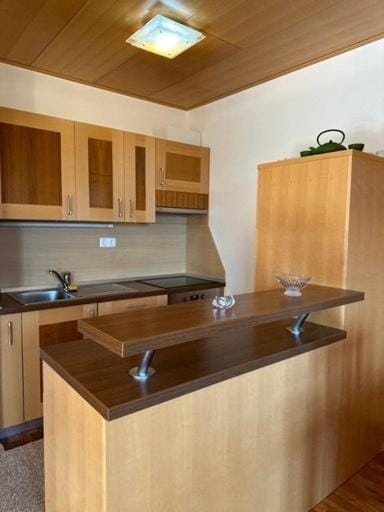Kitchen or kitchenette, dishwasher, oven, toaster